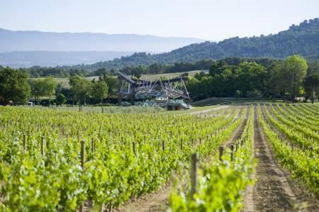 Domaine viticole