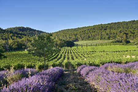 Que faire autour d’Aix-en-Provence ? · Auberge La Coste